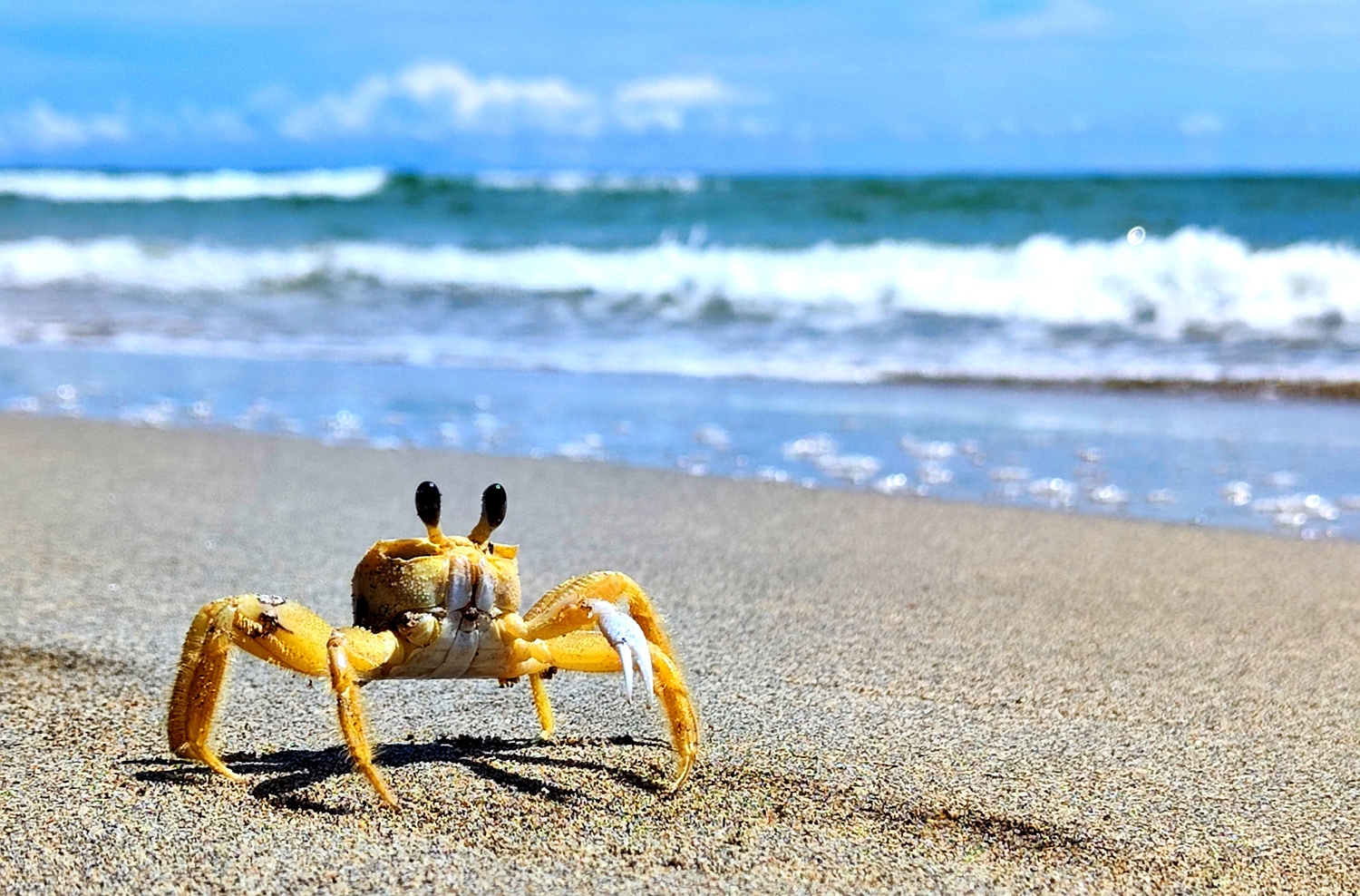 Station 7 – Casa de la Trepada (Punta Uva)